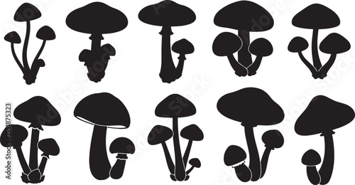 Vector art of twelve mushroom silhouettes isolated on white background