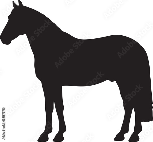  Dutch Draft in silhouette pure white background. in silhouette pure white background.