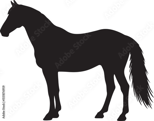 Dzungarian horse in silhouette pure white background. in silhouette pure white background.