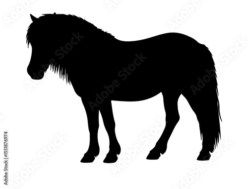 Miyako Pony horse in silhouette pure white background.