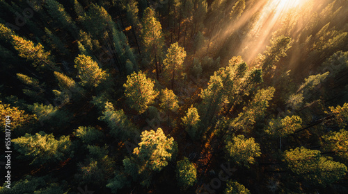 The fairyland-like natural scenery