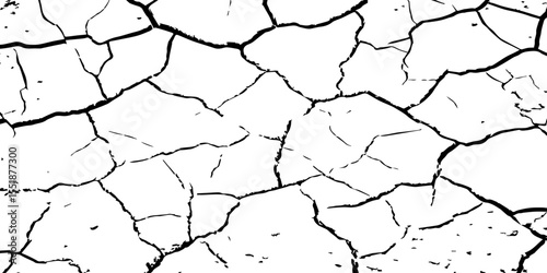 A high-contrast black and white texture depicting dry, cracked earth. The fragmented surface forms an organic mosaic of irregular shapes, with sharp, dark lines outlining each segment.