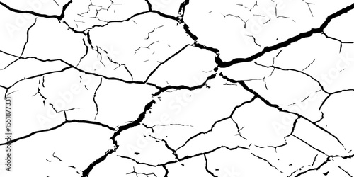 A high-contrast black and white texture depicting dry, cracked earth. The fragmented surface forms an organic mosaic of irregular shapes, with sharp, dark lines outlining each segment.