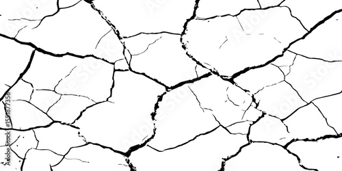 A high-contrast black and white texture depicting dry, cracked earth. The fragmented surface forms an organic mosaic of irregular shapes, with sharp, dark lines outlining each segment.