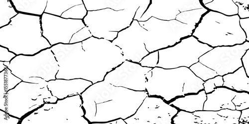 A high-contrast black and white texture depicting dry, cracked earth. The fragmented surface forms an organic mosaic of irregular shapes, with sharp, dark lines outlining each segment.