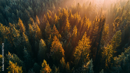 The fairyland-like natural scenery