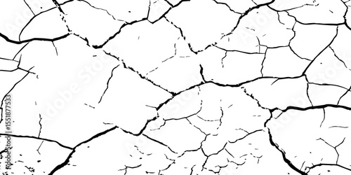 A high-contrast black and white texture depicting dry, cracked earth. The fragmented surface forms an organic mosaic of irregular shapes, with sharp, dark lines outlining each segment.