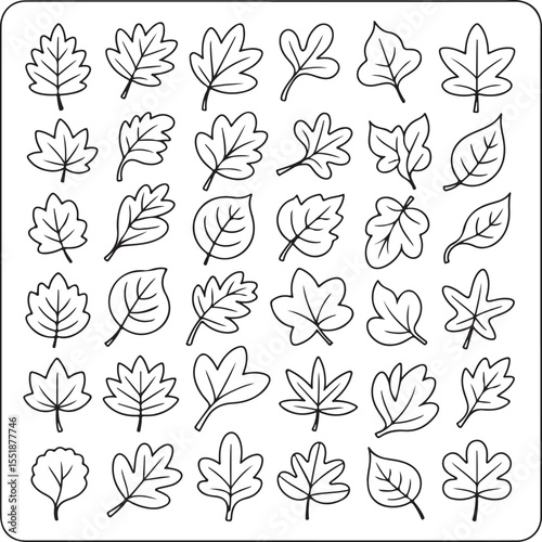 Wallpaper Mural A Variety of Leaf Outlines Depicted in a Grid Formation Offering Versatile Design Elements for Autumnal Themes and Educational Resources Torontodigital.ca