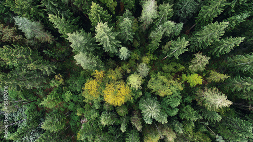 The fairyland-like natural scenery