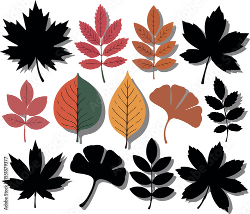 A Collection of Autumn Leaves Featuring Maple, Oak, and Other Leaf Types in Various Colors and Silhouettes