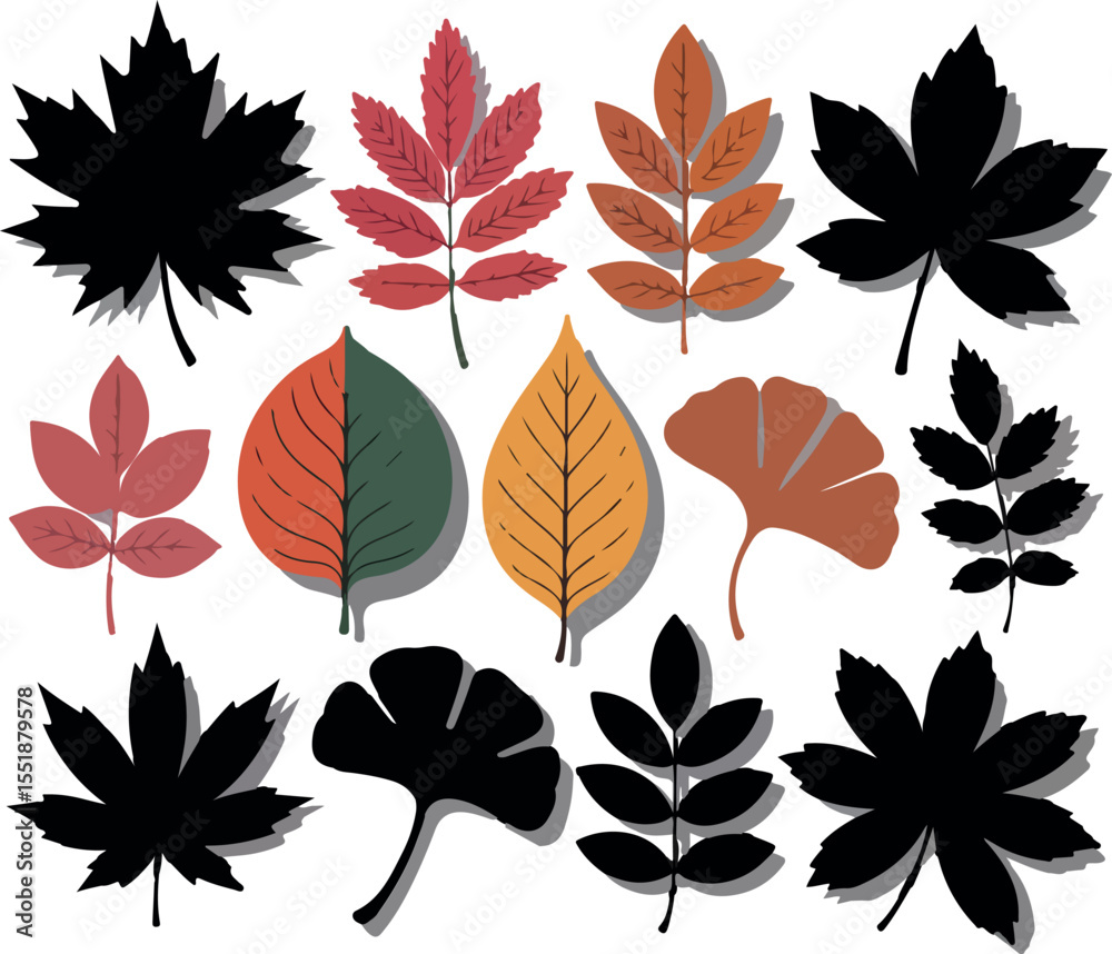 Obraz premium Assorted Fall Leaves Illustration Featuring Varied Shapes and Colors Depicting Autumn Foliage in Shades of Red Orange Green and Black