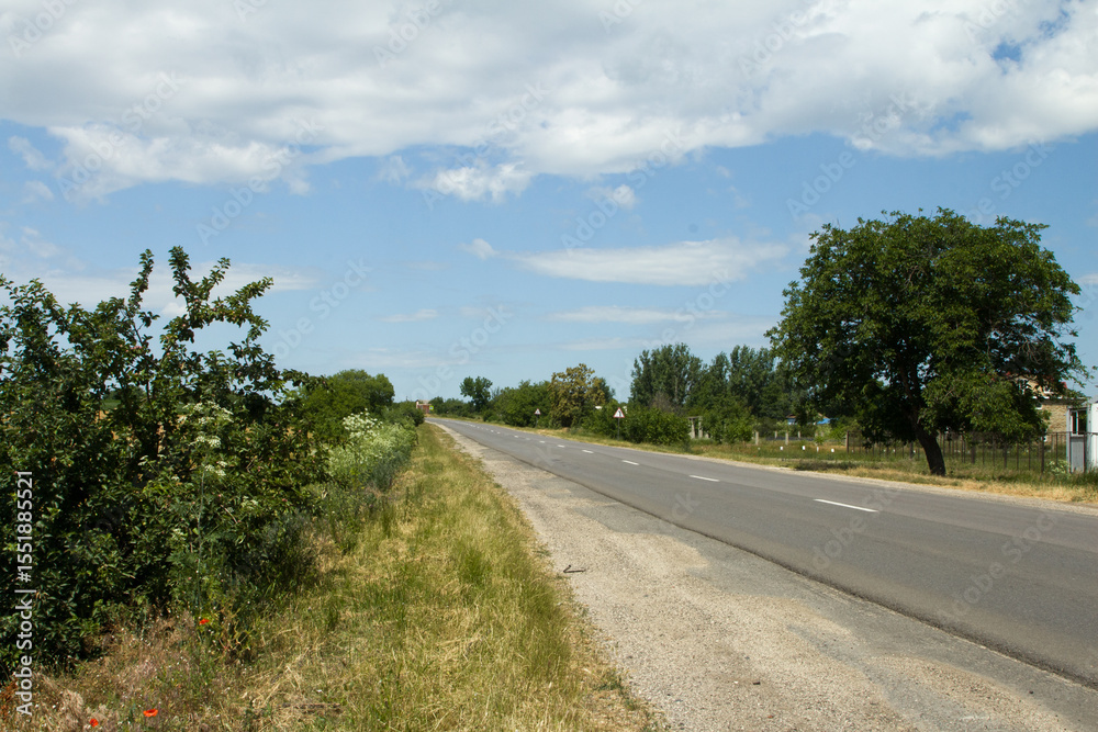 Fototapeta premium A road with trees on either side