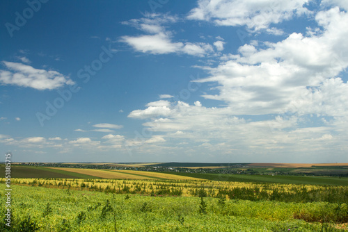 Fototapeta Naklejka Na Ścianę i Meble -  A field of grass and blue sky