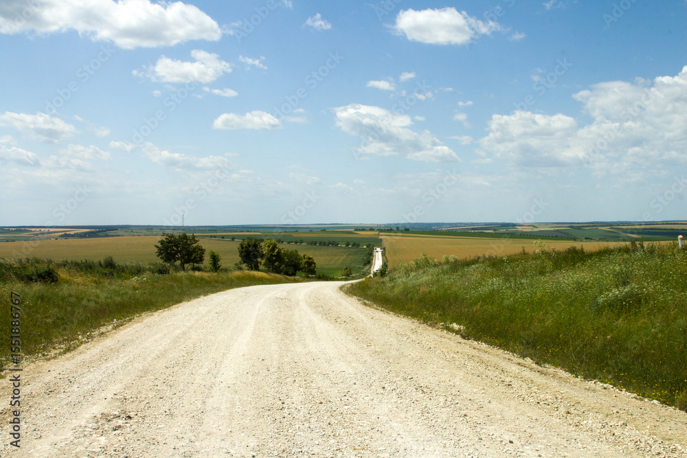 Fototapeta premium A dirt road leading to a field