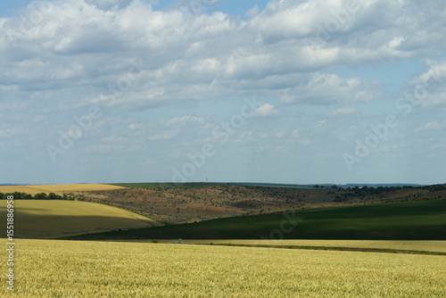 Fototapeta Naklejka Na Ścianę i Meble -  A large green field