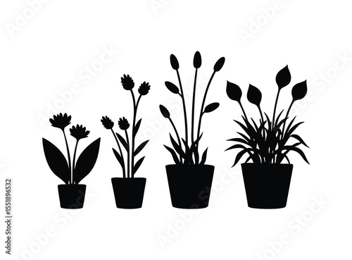 A set of silhouette flowers in pot