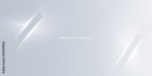 gray and white abstract background modern vector illustration