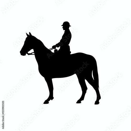 Silhouette of a horse rider on a horse in a simple pose  
