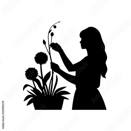 Woman nurturing flowers while standing near a potted plant, silhouette  