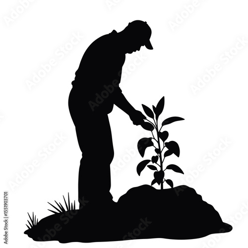 Silhouette of a man planting a small tree in the garden  