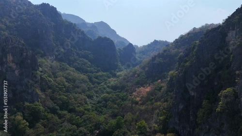 Scenic mountain range covered with dense green forest