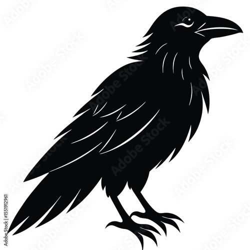 Raven Bird Vector Silhouette With Detailed Feather On White Background