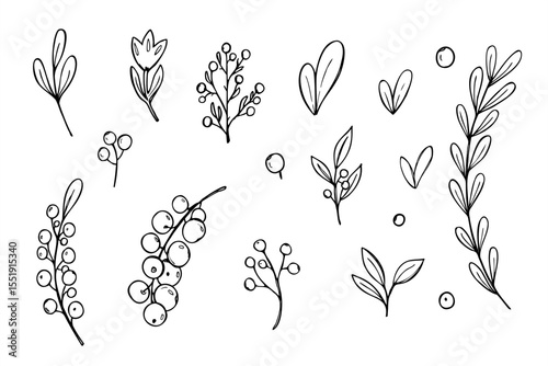 Abstract branches, leaves, berries and flowers vector set. Monochrome botanical elements in Scandinavian style. For creating Nordic patterns, holiday cards, textile designs and nature decoration