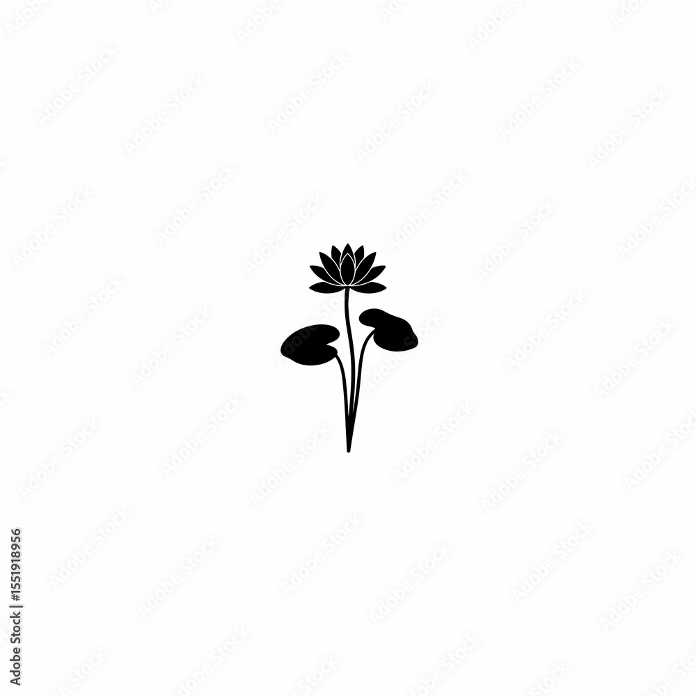 Obraz premium shafla vector art শাপলা ফুল
