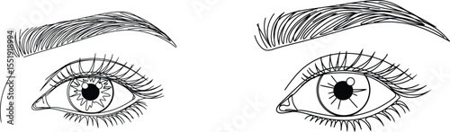 Illustration Two Eyes with Defined Eyelashes and Eyebrows Beauty Art