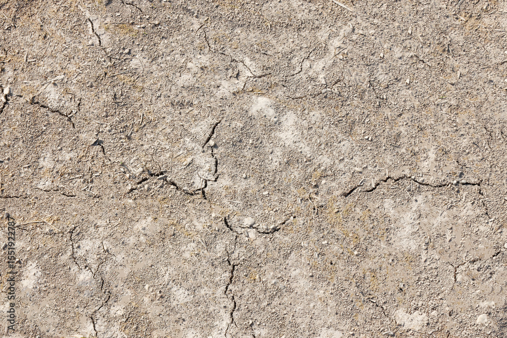 Fototapeta premium dirt texture background land ground soil 