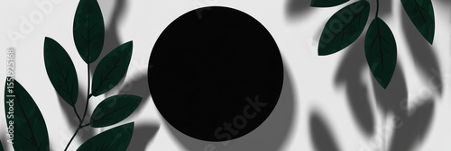Monochromatic minimalist display featuring foliage and circular frame on light backdrop