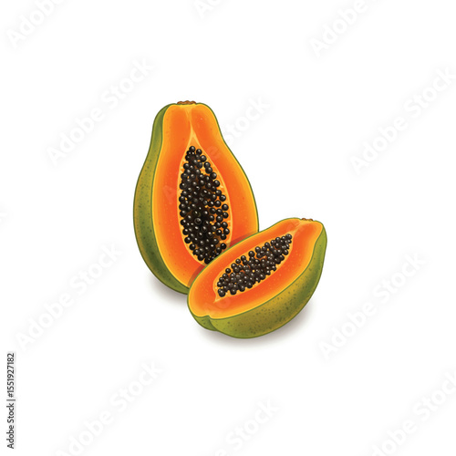 Coloring book of a papaya with seeds showing, on white background outline vector illustration, Papaya. Fresh, sweet papaya. Ripe fruit. Exotic fruits. Papaya in the cut.