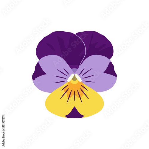 Colorful flat icon of tropical pansy flower with no white