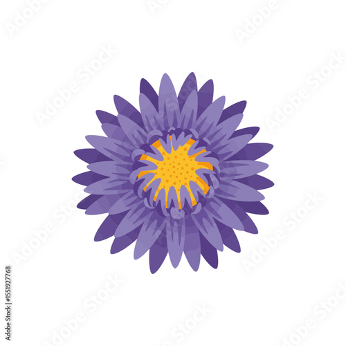 Colorful flat icon of aster flower with no white
