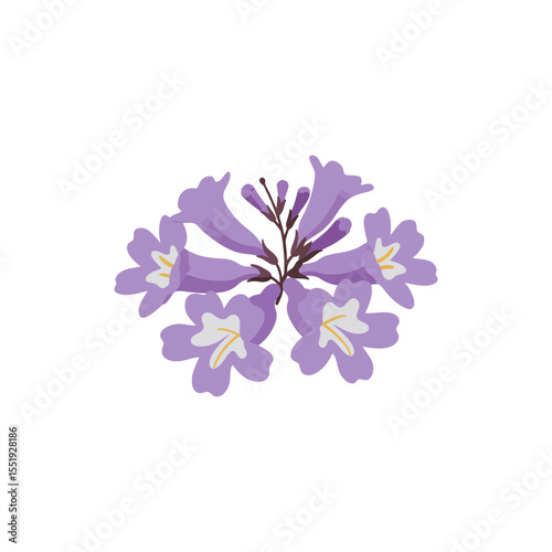  Colorful flat icon of jacaranda bloom with no white