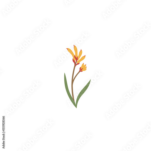 Colorful flat icon of kangaroo paw flower with no white