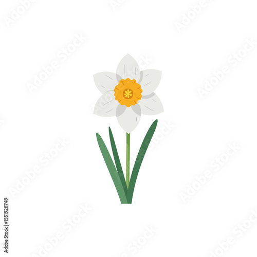  Colorful flat icon of narcissus flower with no white