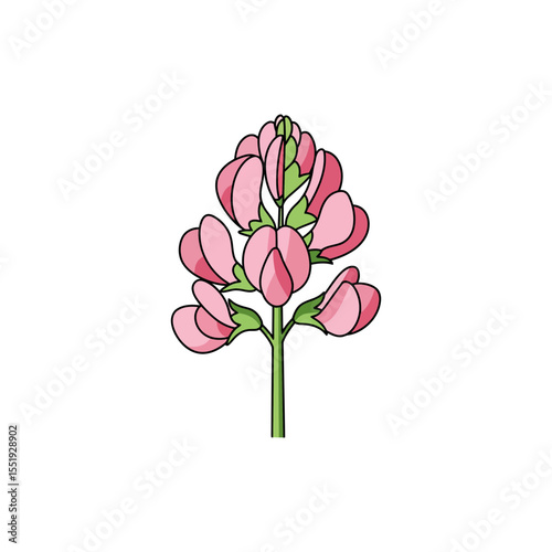 Colorful flat icon of peanut blossom with no white