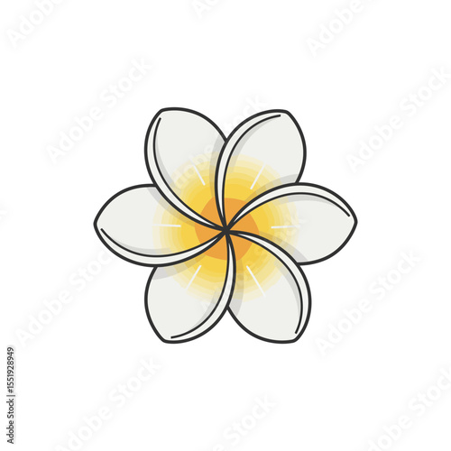 Colorful flat icon of plumeria flower with no white