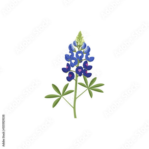  Colorful flat icon of Texas bluebonnet flower with no white