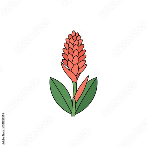  Colorful flat icon of torch ginger flower with no white
