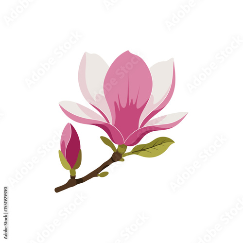  Colorful flat icon of tree magnolia flower with no white