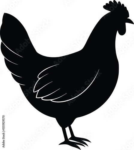 A fancy orpington hen with a wide frame and smooth contours silhouette Vector