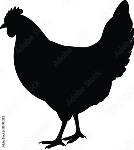 A hen mid pecking with head down silhouette Vector