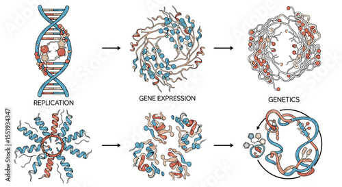 Illustration showing dna replication gene expression and genetics processes with molecular structures