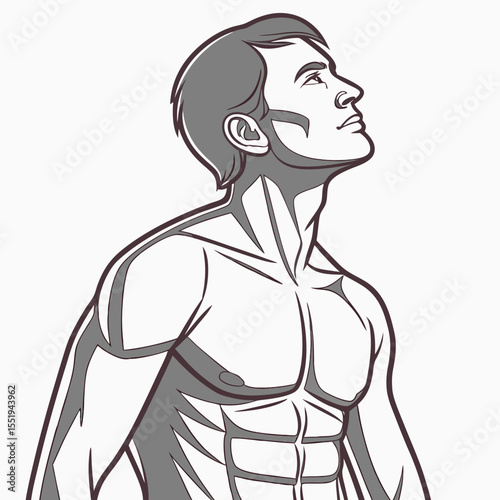 A muscular male torso with defined chest and abs.