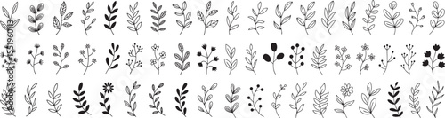 Botanical Branch and Leaf Doodle Set: Hand-Drawn Foliage Elements for Natural Design Accents on a Black Backdrop, Perfect for Invitations and Illustrations