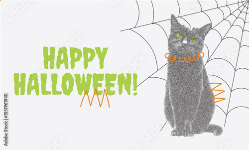 Happy Halloween Greeting with Black Cat in grainy effect