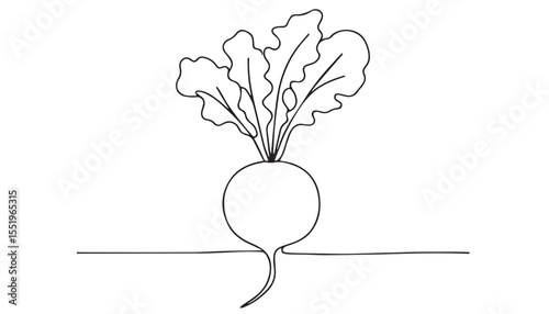 Continuous one single minimal line drawing Beet Vegetables