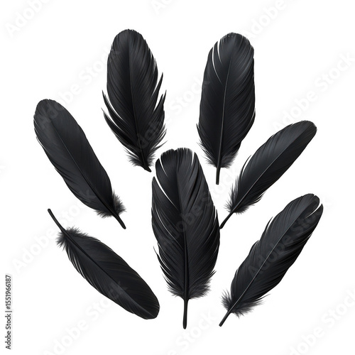 Seven black feathers isolated on transparent background